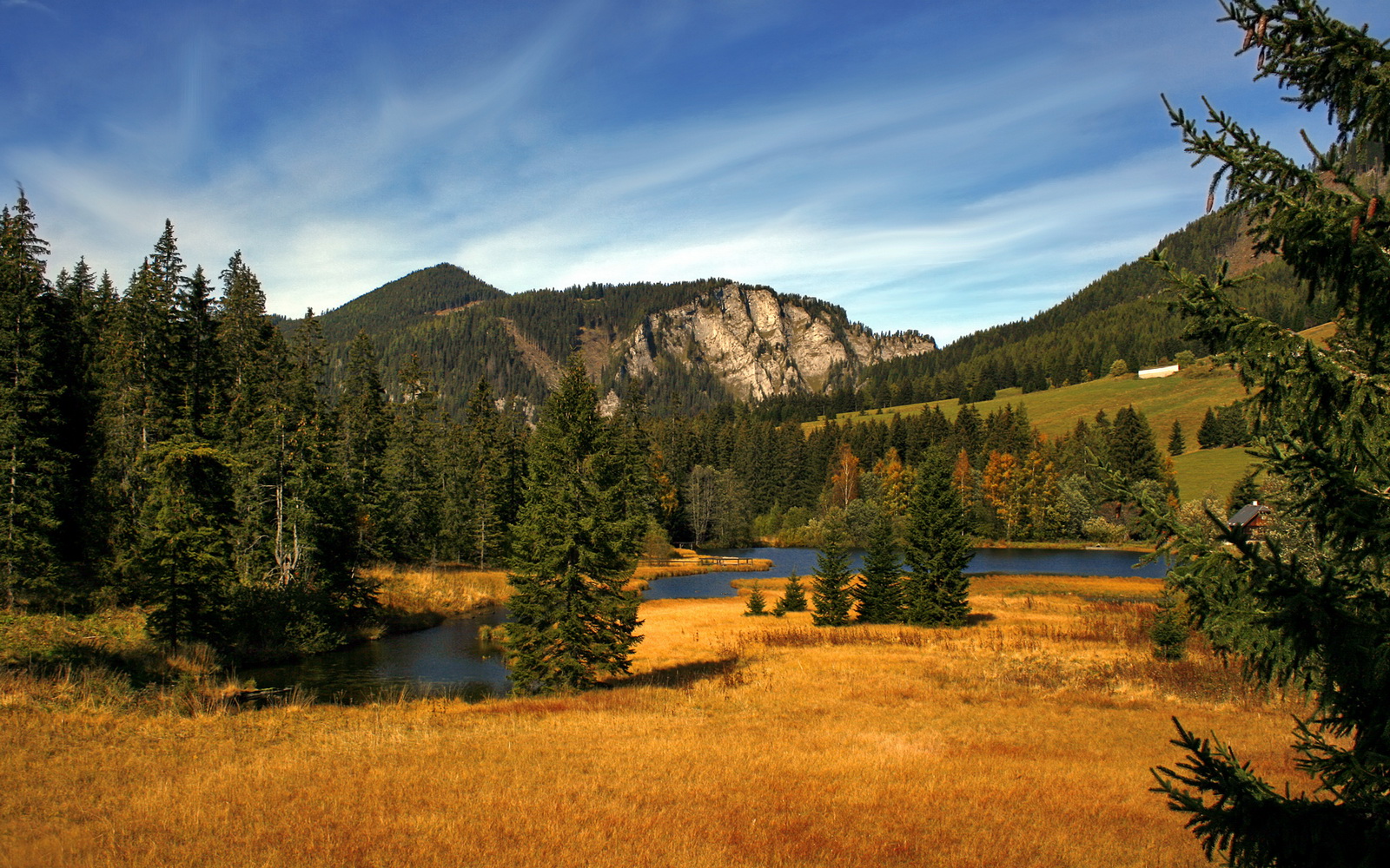 孤胆英雄的黄昏，当库里化身战神，却为何倒在孟菲斯城下？