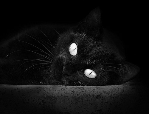 双城记，阿圭罗燃爆伊蒂哈德，拜仁铁血碾过圣马梅斯