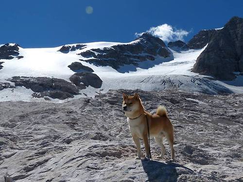 姆巴佩一锤定音！巴萨全明星力克尼日利亚硬仗展现实力