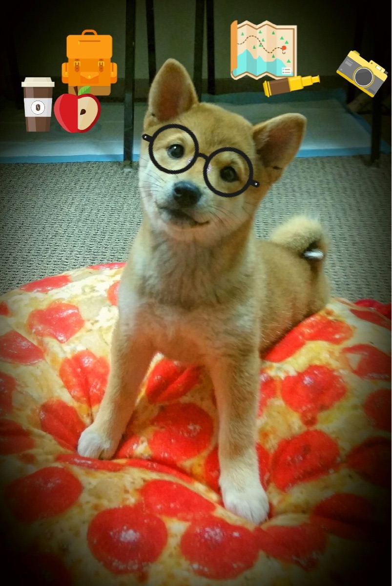 绝境中的火焰，奥利维耶如何用三次触球点燃欧冠之夜