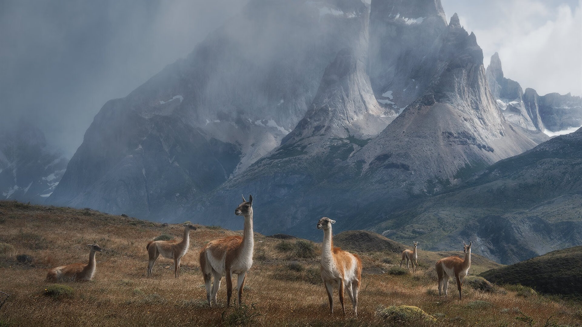平行世界的双响炮,德甲争冠焦点战与火箭击溃湖人的竞技之夜