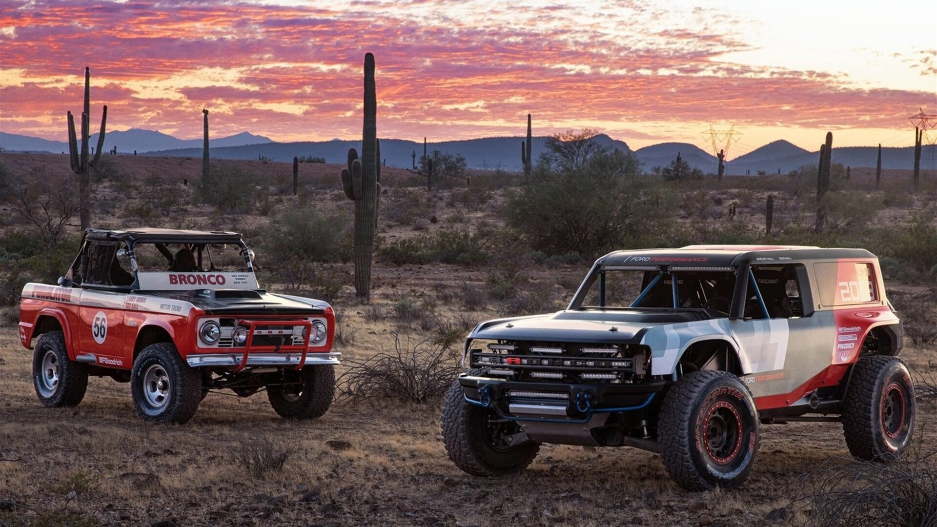 希腊怪物降临！字母哥连续暴击撕裂黄蜂防线，骑士惊险过关