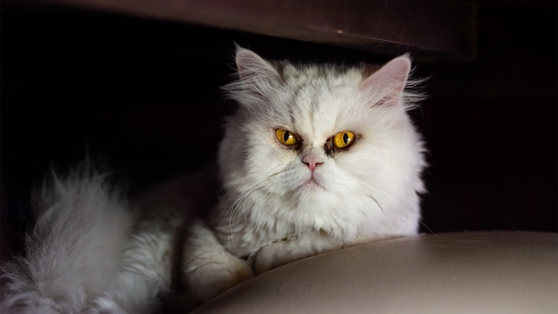 欧冠风暴，姆巴佩地狱边缘的自我救赎之战