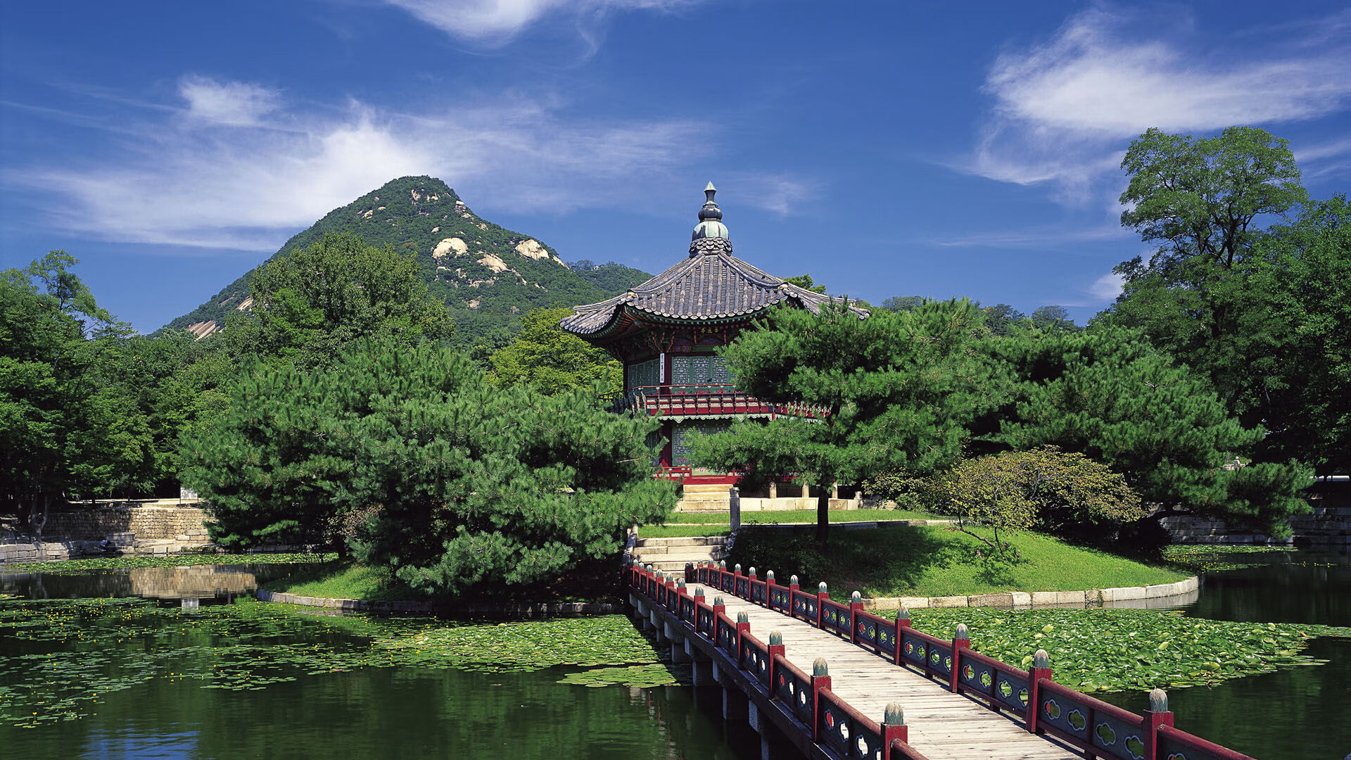 开云体育中国-比利时的救赎，当黄金一代用巴西的骸骨铺就王座