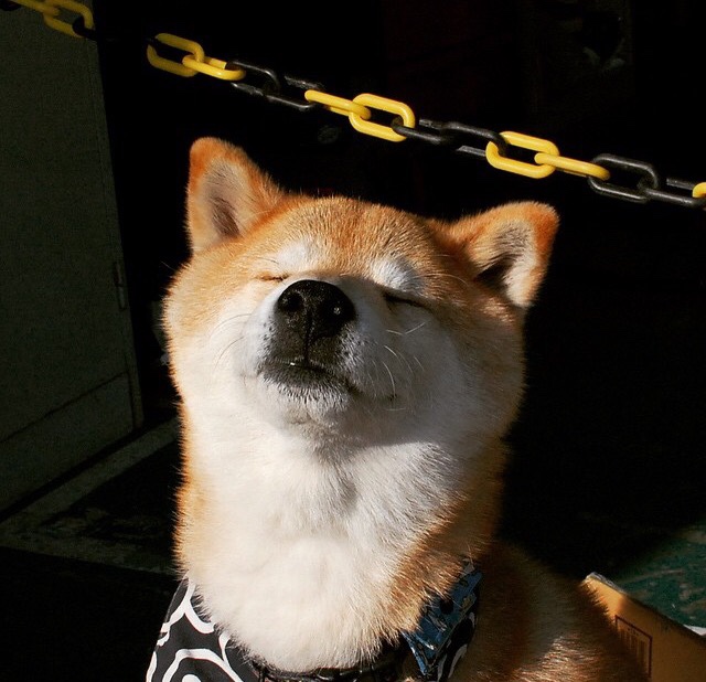 开云体育官方网站-内马尔，绿茵指挥家，克罗地亚如何收割拉齐奥的战术灵魂？