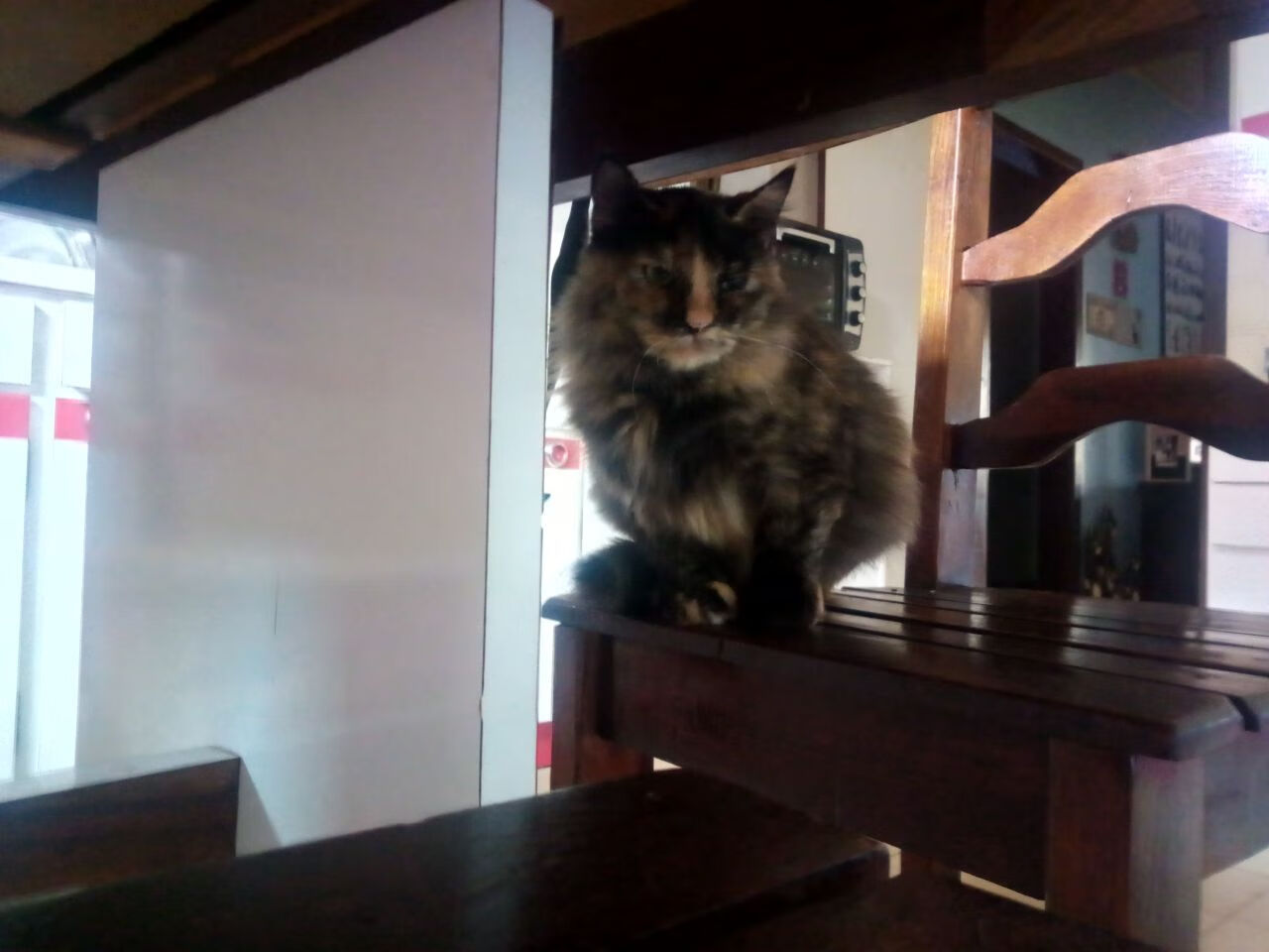 开云体育入口-绝境中的白色长城，巴斯托尼最后时刻的崛起，皇马惊险逆转喀麦隆劲旅