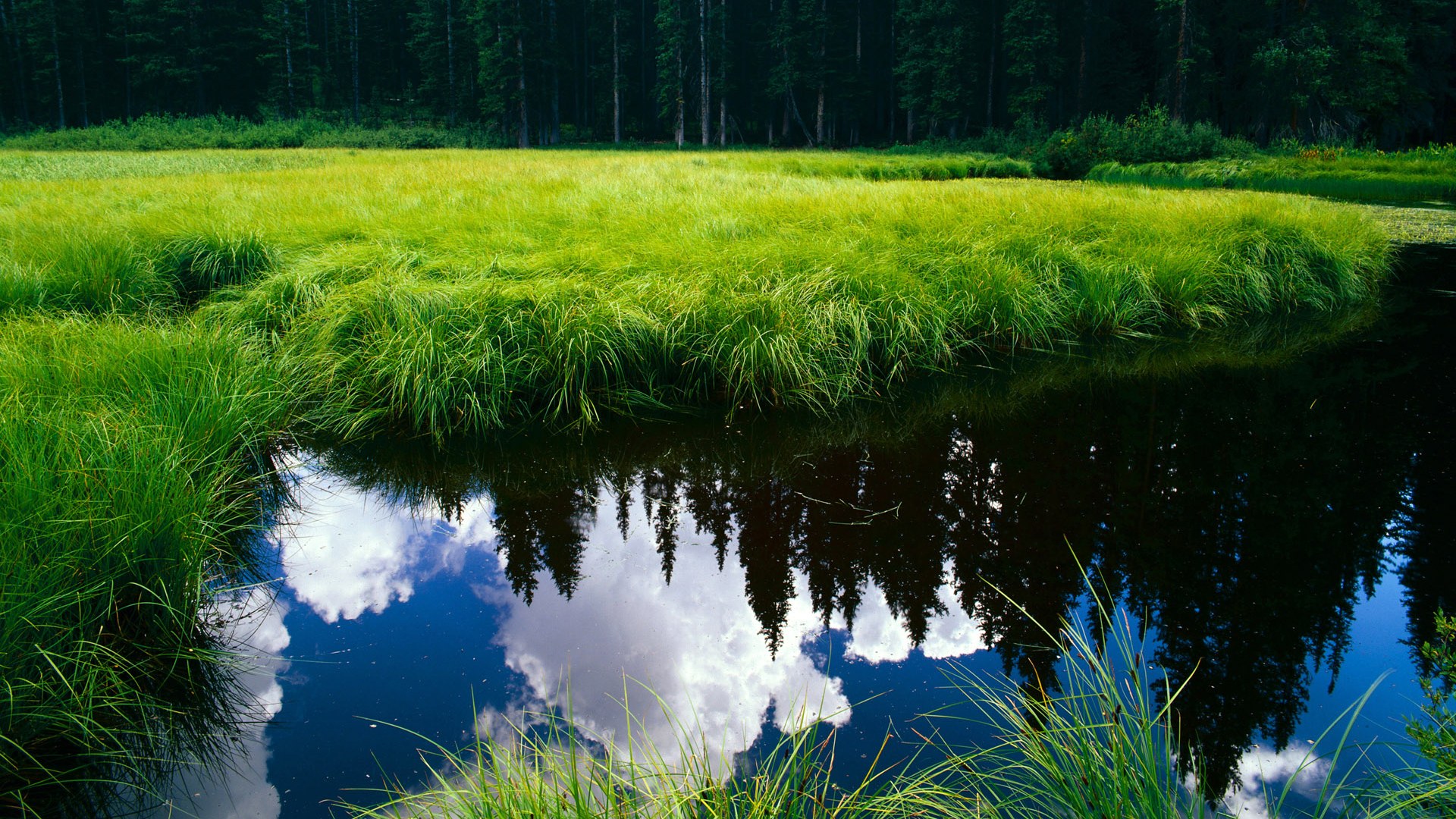 蓝衣铁闸，临危擎天—2026世界杯之夜巴斯托尼封神记